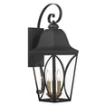 thumbnail image 1 of The Great Outdoors 73353 Cardigan 3 Light 24" Tall Outdoor Wall Sconce - Sand Coal Black /, 1 of 7