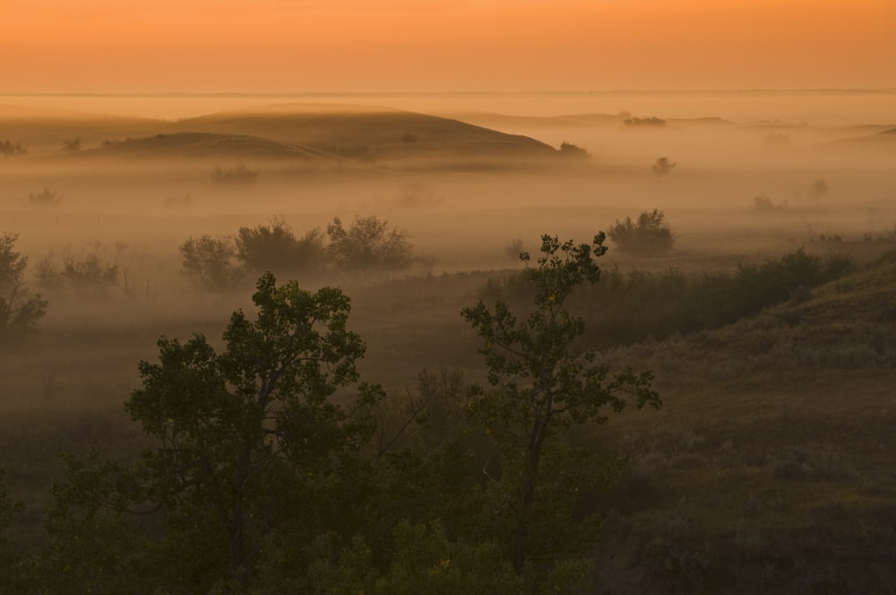 The Great Sandhills Near Sceptre Saskatchewan Canvas Art - Dave Reede Design Pics (17 x 11)