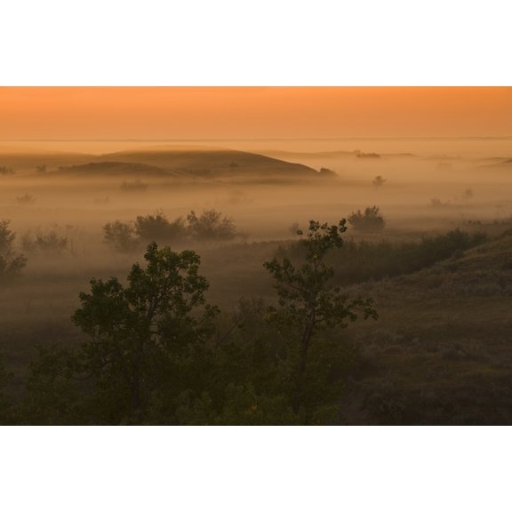 The Great Sandhills Near Sceptre Saskatchewan Canvas Art - Dave Reede Design Pics (17 x 11)