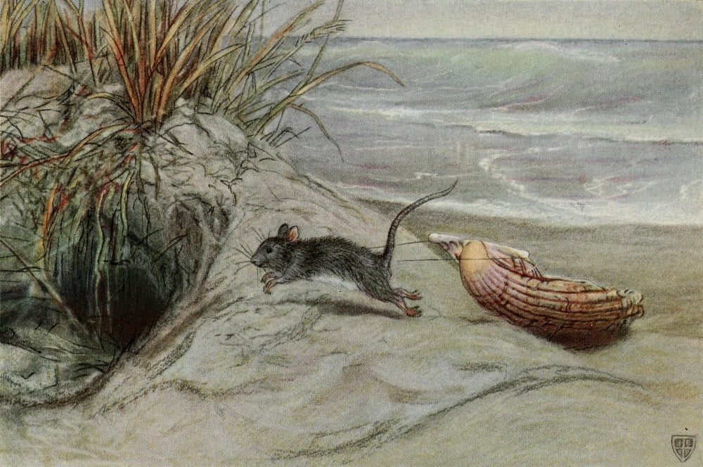 The Great Sea Horse 1909 Betty & the Sea-fairy Canvas Art - John Elliott (18 x 24)