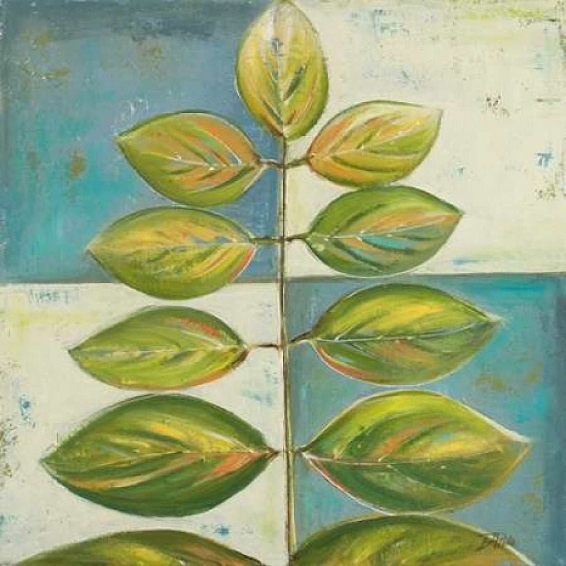 The Green Compliment I Canvas Art - Patricia Pinto (24 x 24)