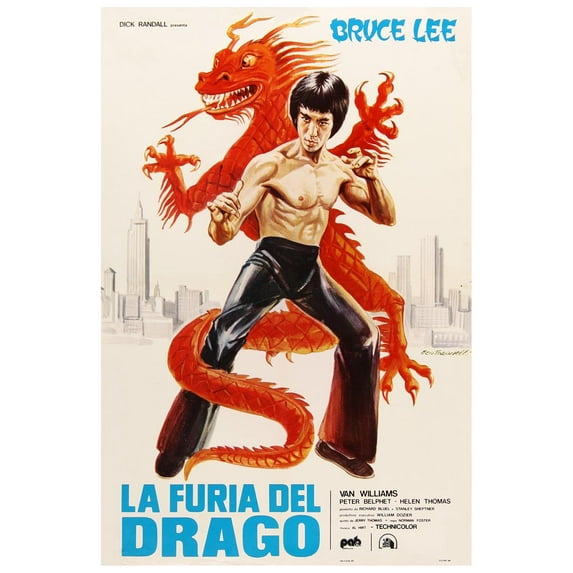 The Green Hornet 1974 - Bruce Lee - French - Vintage Classic Kung Fu Movie Poster (12x18Inches)