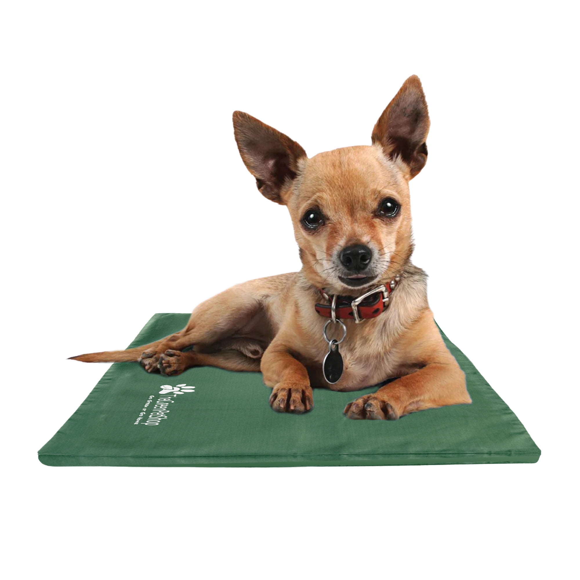 Green pet shop cooling pad sale