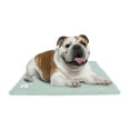 thumbnail image 1 of The Green Pet Shop Dog Cooling Mat Cover, Medium - Protect Your Gel Cooling Mat for Dogs from Dirt and Damage - Easy-Care and Machine Washable - Sage Grey, 1 of 9