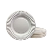 The "Green" 6-Inch Uncoated White Paper Plates   100 Count, Eco-Friendly Disposable