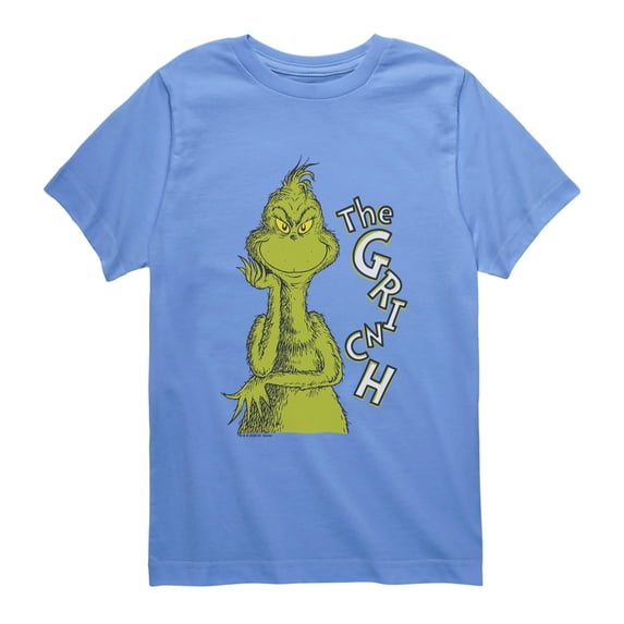 The Grinch - Big Portrait Boys' Short Sleeve Graphic T-Shirt