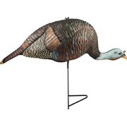 Rock Ridge Outdoors TG8635 Bugging Hen Decoy