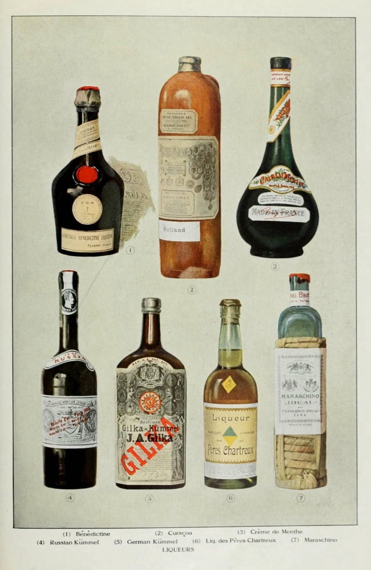 The Grocers Encyclopedia 1911 Alcoholic Drinks Canvas Art - (24 x 36)