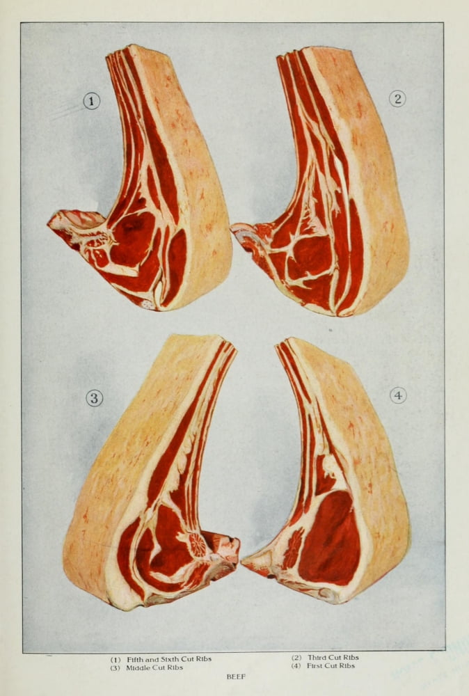 The Grocers Encyclopedia 1911 Beef 1 Canvas Art - (24 x 36)
