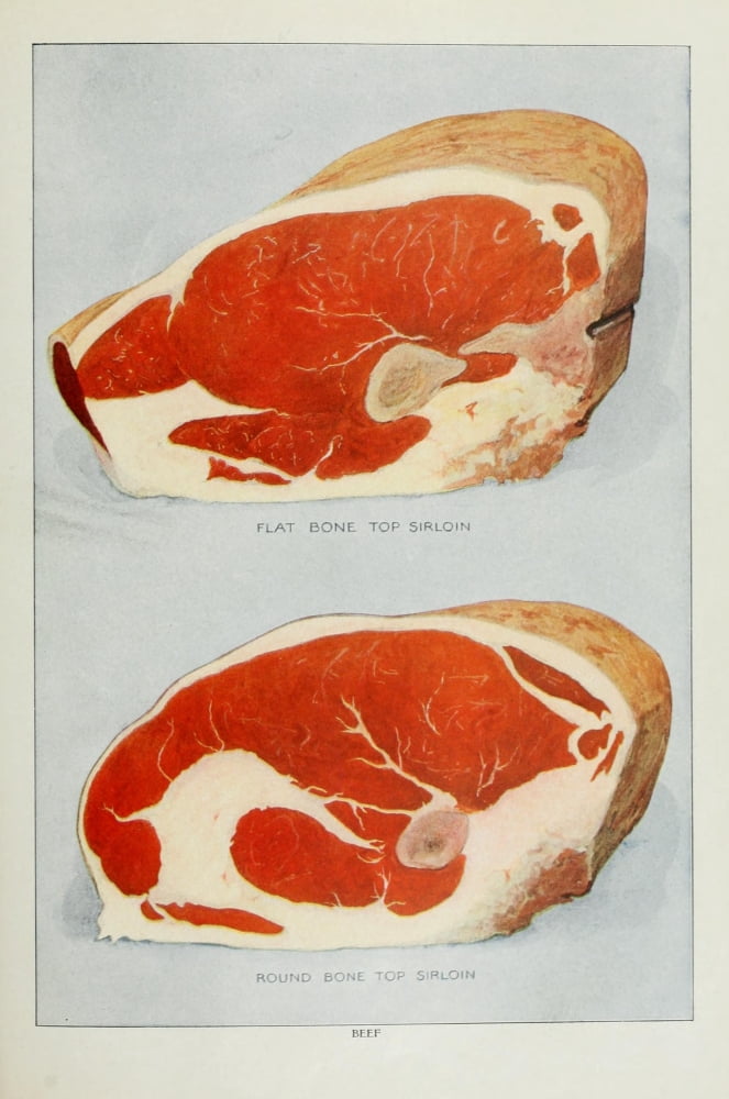 The Grocers Encyclopedia 1911 Beef 2 Canvas Art - (24 x 36)