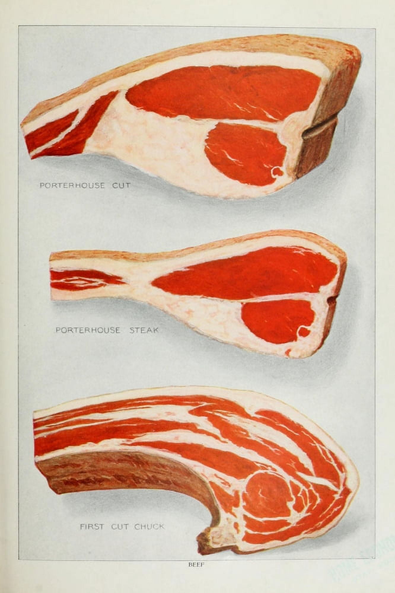The Grocers Encyclopedia 1911 Beef 3 Canvas Art - (18 x 24)