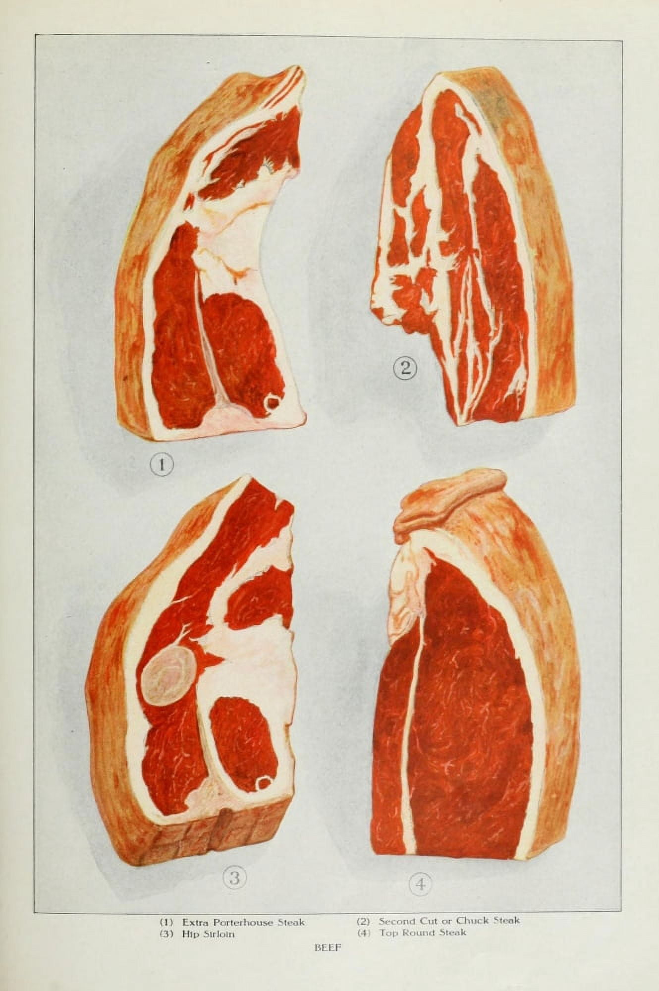 The Grocers Encyclopedia 1911 Beef 4 Canvas Art - (18 x 24)