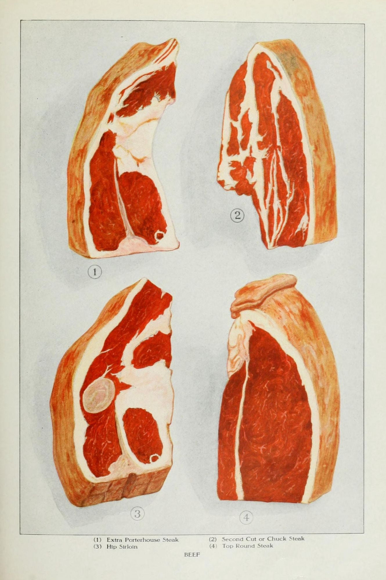 The Grocers Encyclopedia 1911 Beef 4 Canvas Art - (24 x 36)