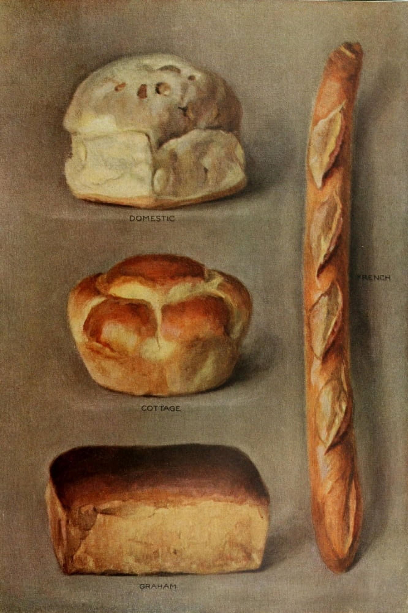The Grocers Encyclopedia 1911 Bread Canvas Art - (18 x 24)