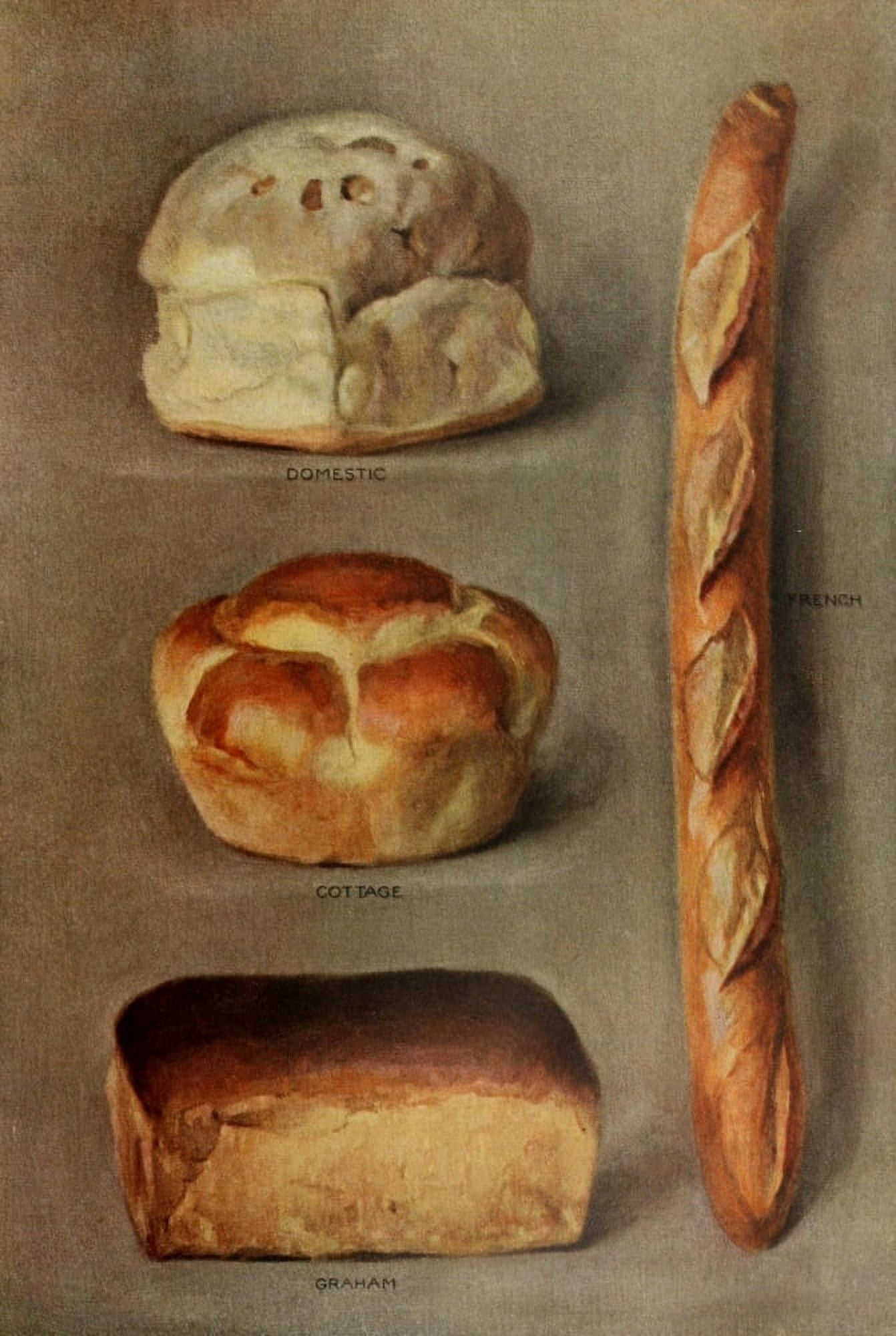 The Grocers Encyclopedia 1911 Bread Canvas Art - Unknown (18 x 24)