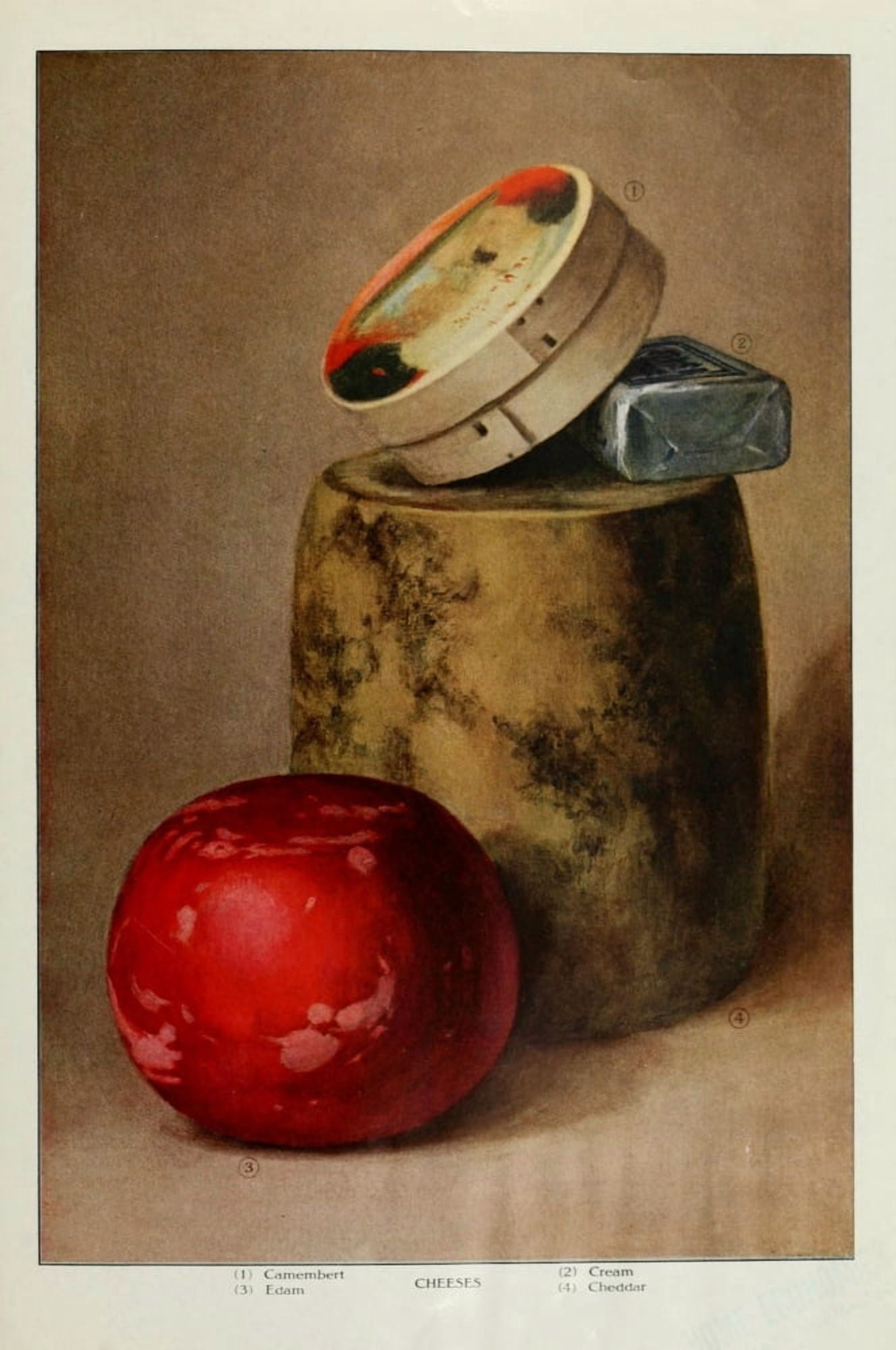 The Grocers Encyclopedia 1911 Cheeses Canvas Art -  (24 x 36)