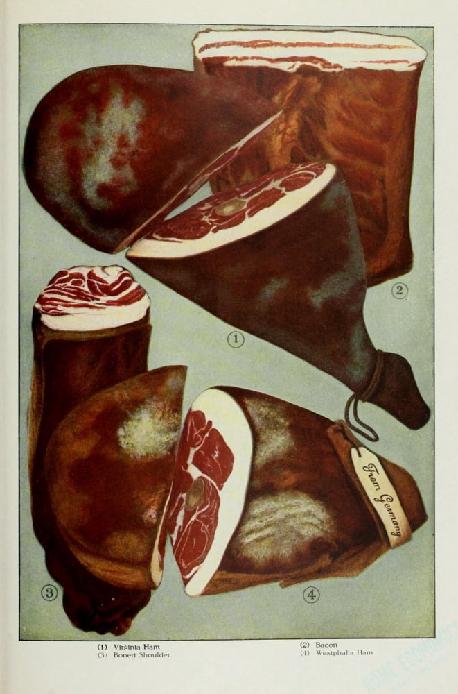 The Grocers Encyclopedia 1911 Ham & Bacon Canvas Art -  (24 x 36)