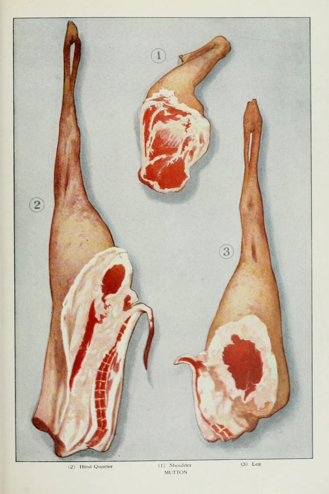 The Grocers Encyclopedia 1911 Mutton Canvas Art - (18 x 24)
