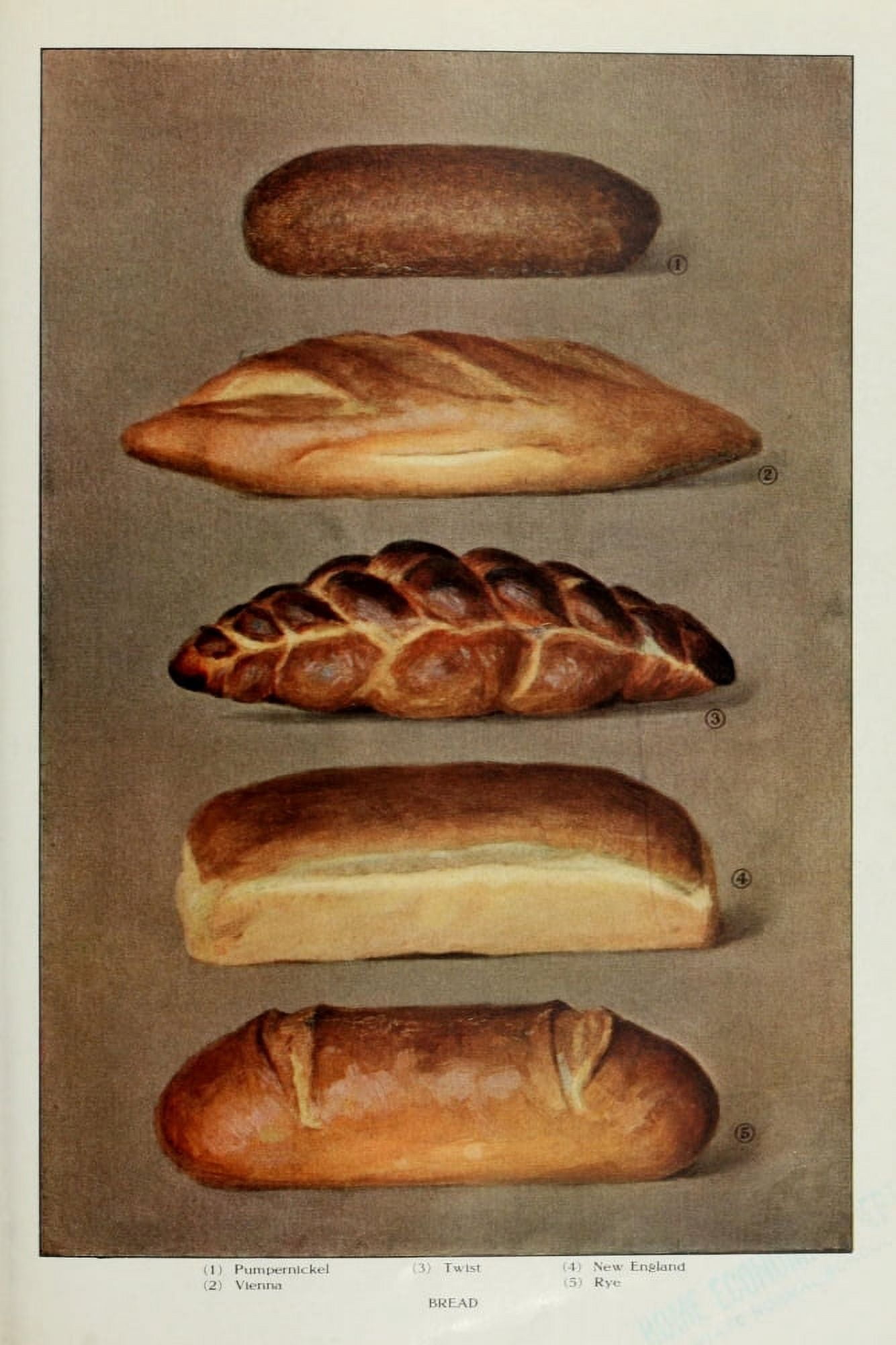 The Grocers Encyclopedia 1911 more Bread Canvas Art - (18 x 24)
