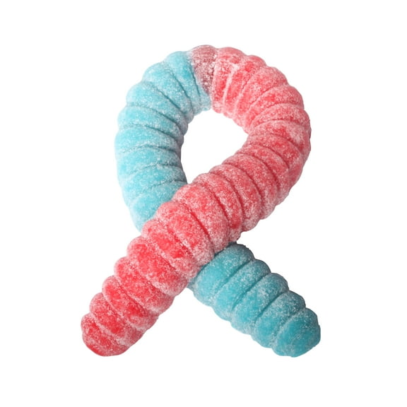 The Gummy Bear Guy - ORIGINAL Sour World's Largest Gummy Worm - Cherry/Blue Raspberry