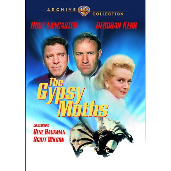 Warner Archives - The Gypsy Moths [DIGITAL VIDEO DISC]