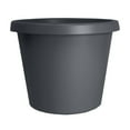thumbnail image 1 of The HC Companies 6 Inch Round Prima Planter - Small Plastic Plant Pot with Rolled Rim for Indoor Outdoor Plants Flowers Herbs, Warm Gray, 1 of 7