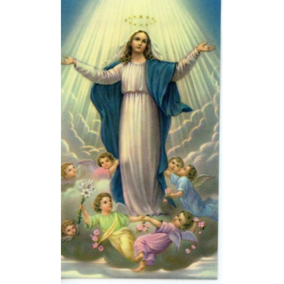 The Hail Mary holy card - laminated - Pack of 25