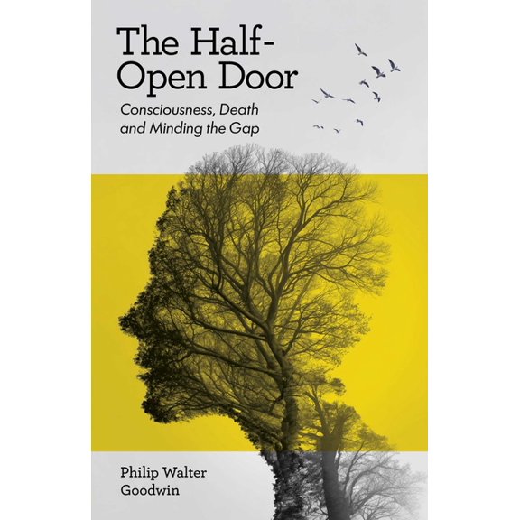 The Half-Open Door: The, (Paperback)