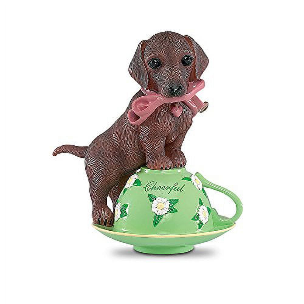 Teacup 2024 weiner dog