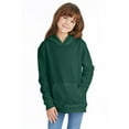thumbnail image 1 of The Hanes Youth 78 oz EcoSmart 50/50 Pullover Hood - DEEP FOREST - XS, 1 of 4
