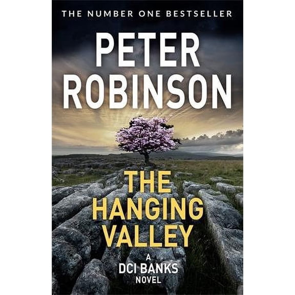 The Hanging Valley Peter Robinson (Paperback)