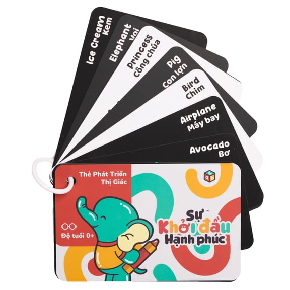 The Happy Start High Contrast Vision Flash Cards, 23 Count, 1 Pack (English & Vietnamese)