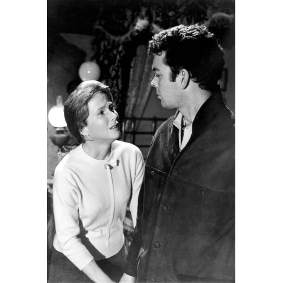 The Haunting Julie Harris Russ Tamblyn 24x36 Poster 1963 Classic Horror