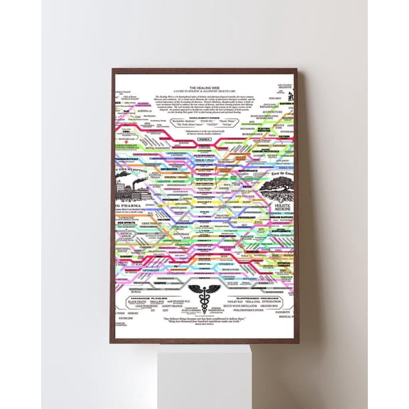 The Healing Web Holistic vs Western Medicine Concept Map Health Systems Diagram Wellness Science, Unframed Poster