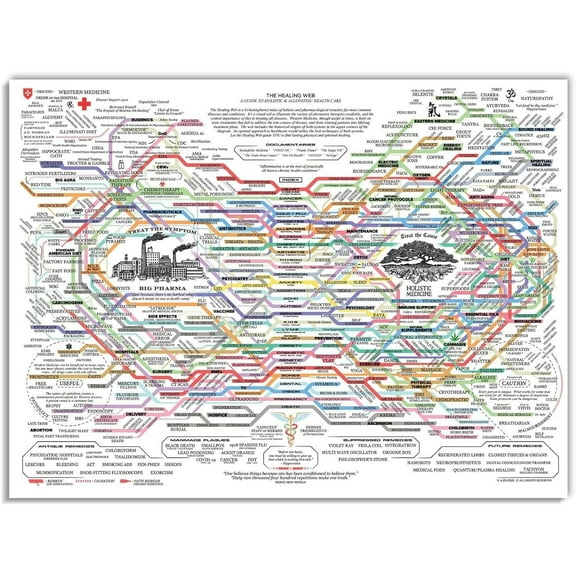 The Healing Web Poster - Natural Remedies Chart
