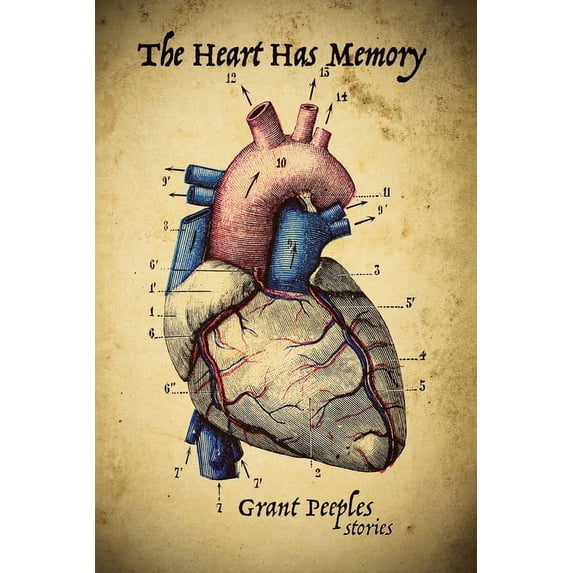 The Heart Has Memory (Paperback)