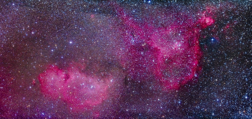 The Heart and Soul Nebulae in the constellation Cassiopeia Canvas Art - Alan DyerStocktrek Images (20 x 10)