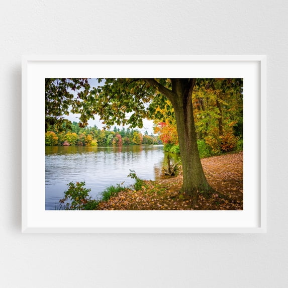 The Heart of Lake Williams - York Pennsylvania Photography White Framed Wall Art Print 12 x 18 inches