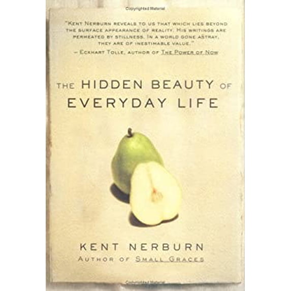 Pre-Owned The Hidden Beauty of Everyday Life (Hardcover) 1567318878 9781567318876