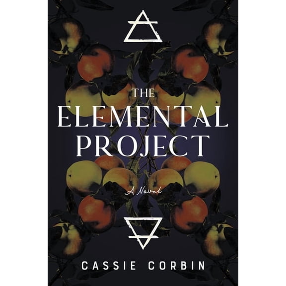 The Hidden Element Project: The Elemental Project (Paperback)