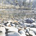 thumbnail image 1 of The Hidden Life in Streams, (Paperback), 1 of 1