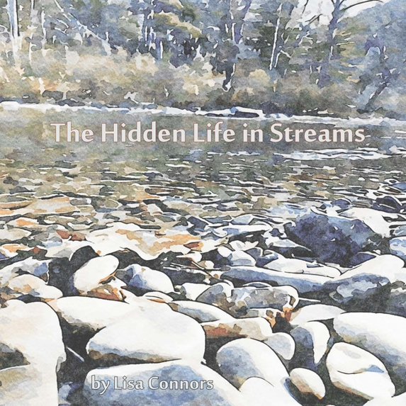 The Hidden Life in Streams, (Paperback)
