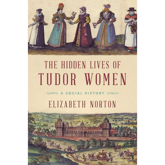 The Hidden Lives of Tudor Women : A Social History (Paperback)