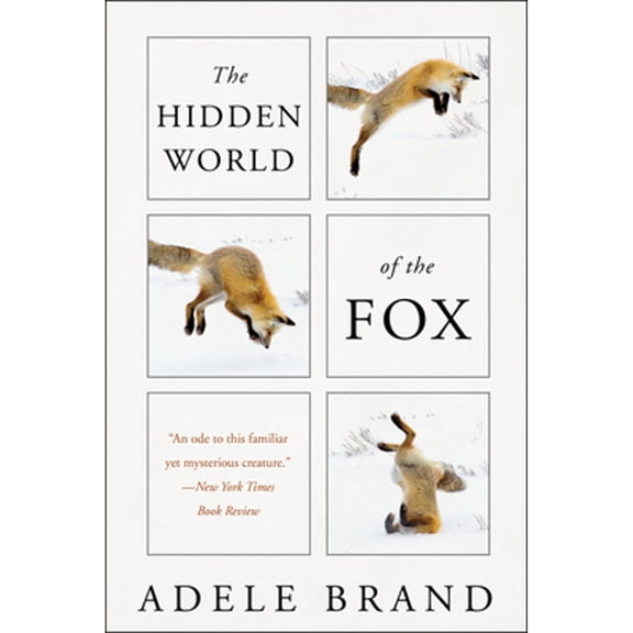 Pre-Owned The Hidden World of the Fox (Paperback) 0062966111 9780062966117