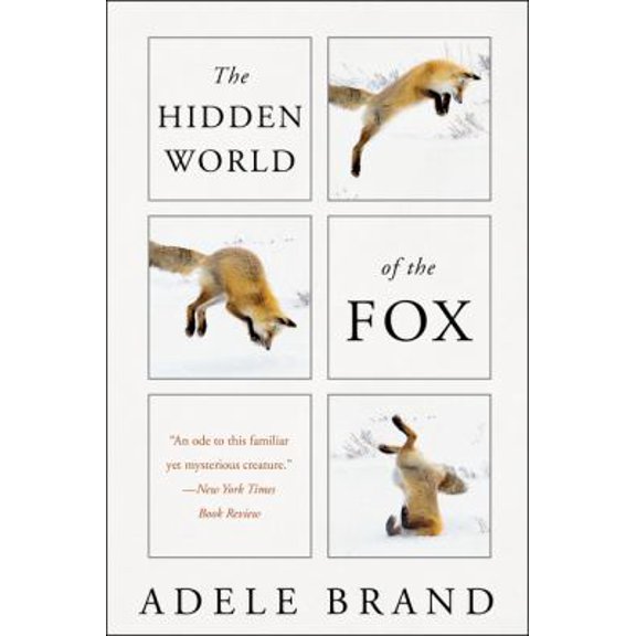 Pre-Owned The Hidden World of the Fox (Paperback) 0062966111 9780062966117