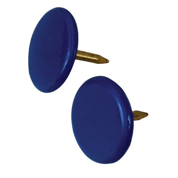 The Hillman Group 122678 40PC Blue Thumb TACK,