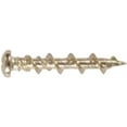 thumbnail image 1 of Hillman WallDog Pan Head Phillips Screw - Steel, Brass Finish - 3/16 in x 1.25 in, Gold, 1 of 1