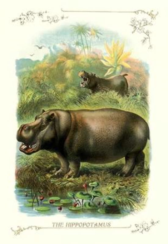The Hippopotamus 1900 Canvas Art - Unknown (12 x 18)