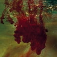 thumbnail image 1 of The History of Colour TV - When Shapes of Spilt Blood Spelt Love - Pop Rock - CD, 1 of 1