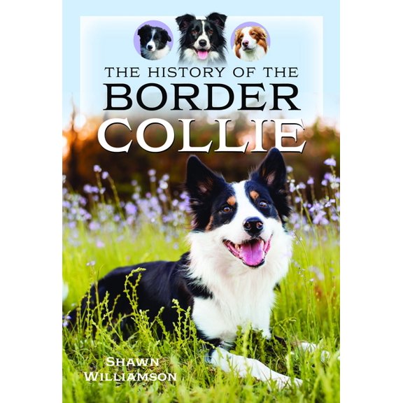 The History of the Border Collie, (Hardcover)